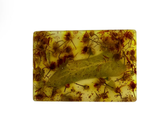 Сапун с липа за омекотяване и успокояване на кожата